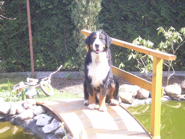 Bastík 10 - 11 měsíců 026.jpg