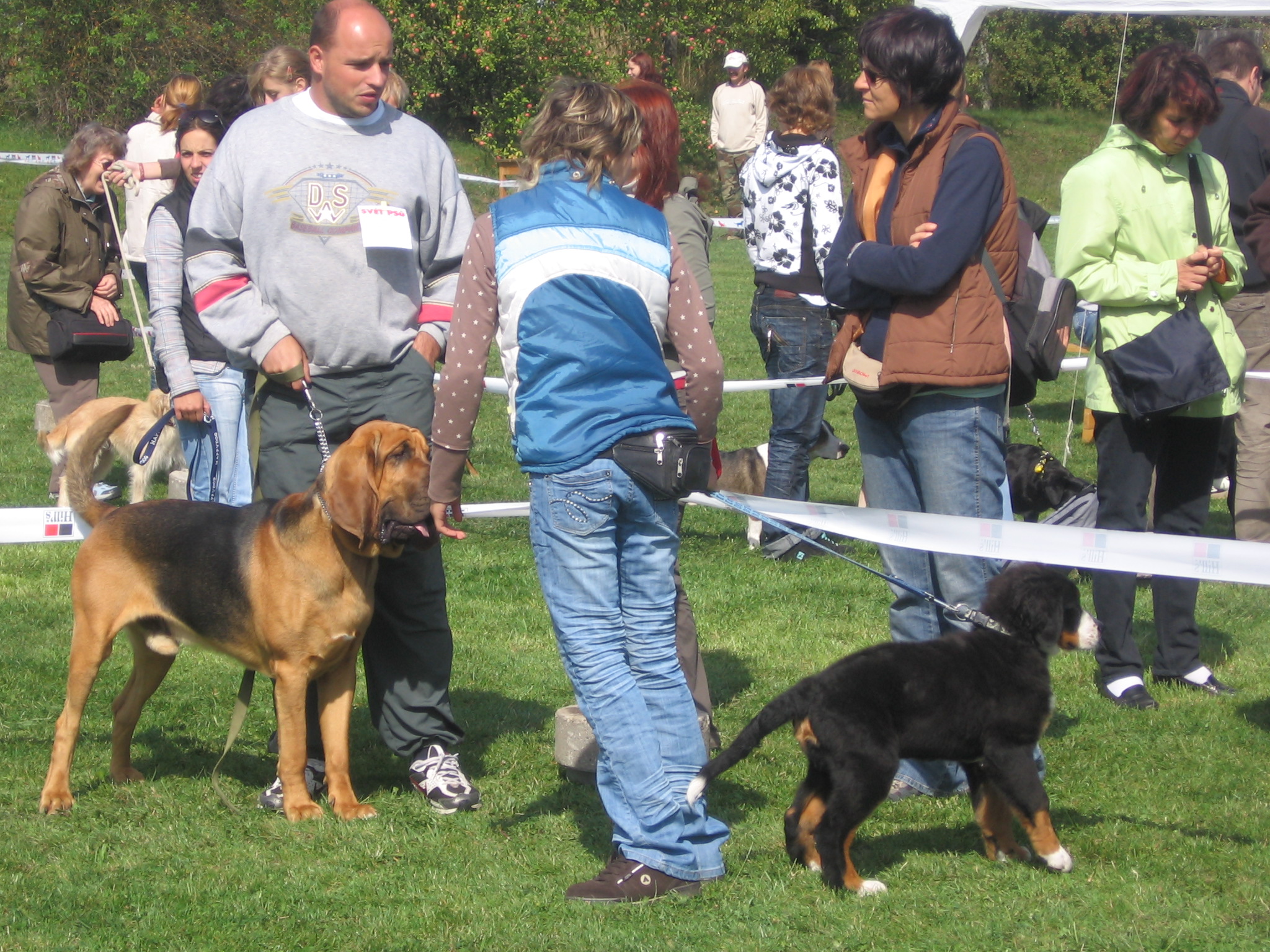 Puňta cup 2008 - Basti jako vítěz 080.jpg