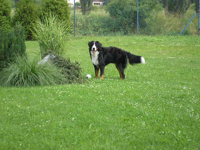 Bastík 13.měsíců 003.jpg