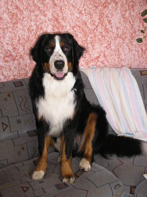 Bastík 13.měsíců 052.jpg